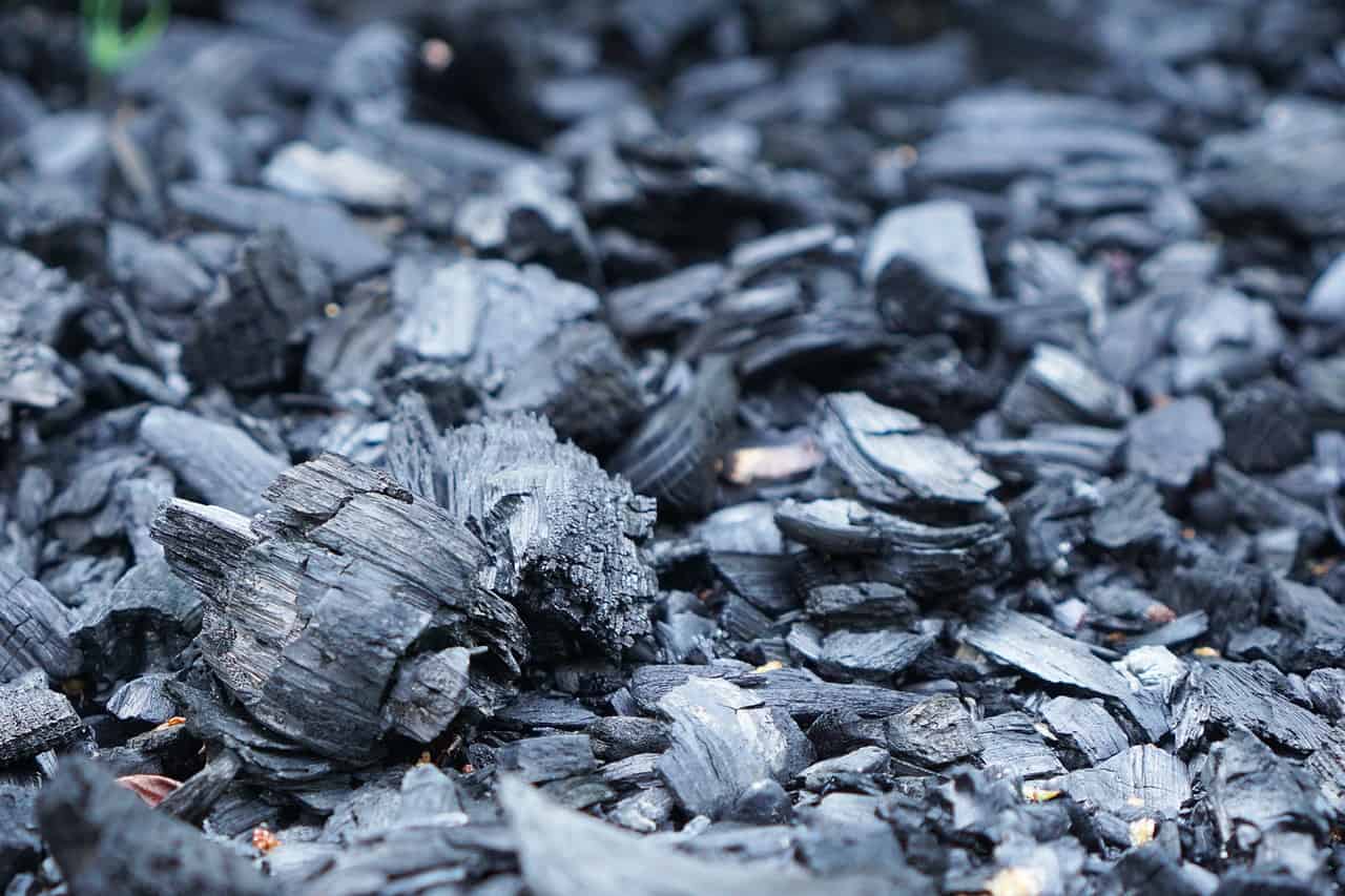 Charcoal a Dental Care Ingredient