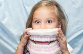 Little Girl Holding A Artificial Teeth