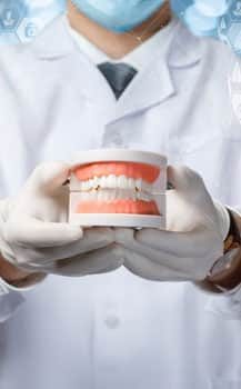 Dentist holding a Denture — Dentist In Gosford, NSW